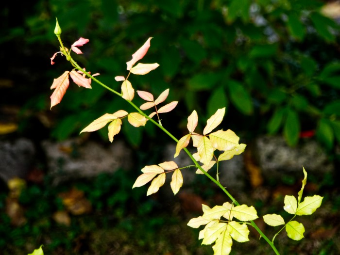 Herbstlich