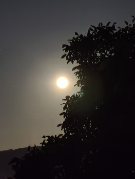 Mond